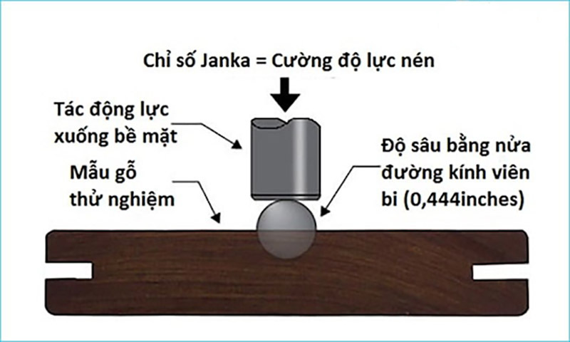 độ cứng của gỗ